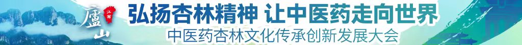 操逼操逼操逼操中医药杏林文化传承创新发展大会